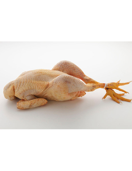 Pollo Entero de Corral de 2.8 kg a 3.1 Kg
