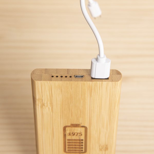 Gallery power bank 1